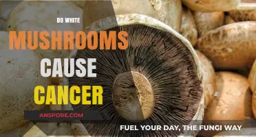 White Mushrooms: Cancer Causers or Not?
