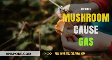 White Mushrooms and Gas: What's the Link?