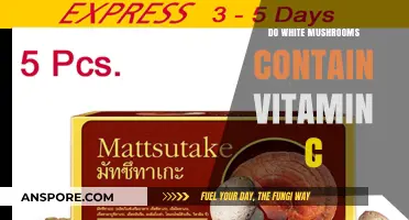 White Mushrooms: A Source of Vitamin C?