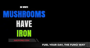 White Mushrooms: Are They a Good Source of Iron?