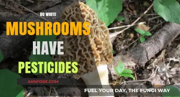 White Mushrooms: Are Pesticides Present?