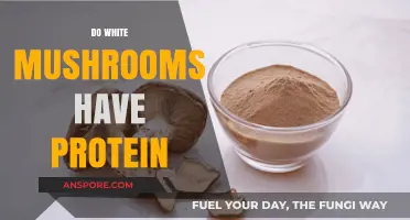 White Mushrooms: A Good Source of Protein?
