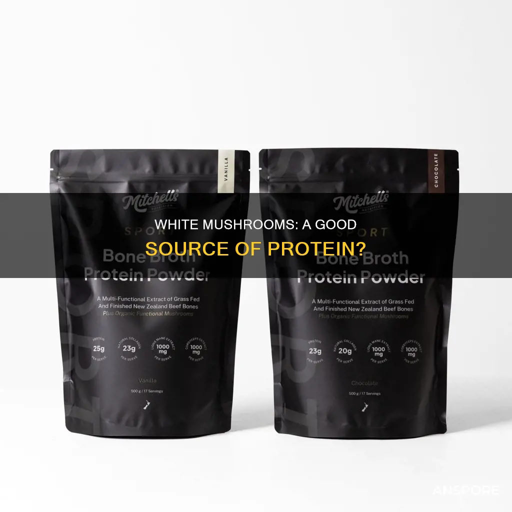 do white mushrooms have protein