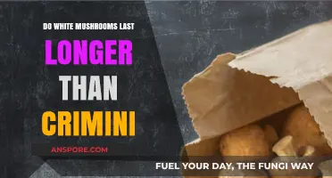 White Mushrooms vs. Crimini: Which Lasts Longer in Your Fridge?