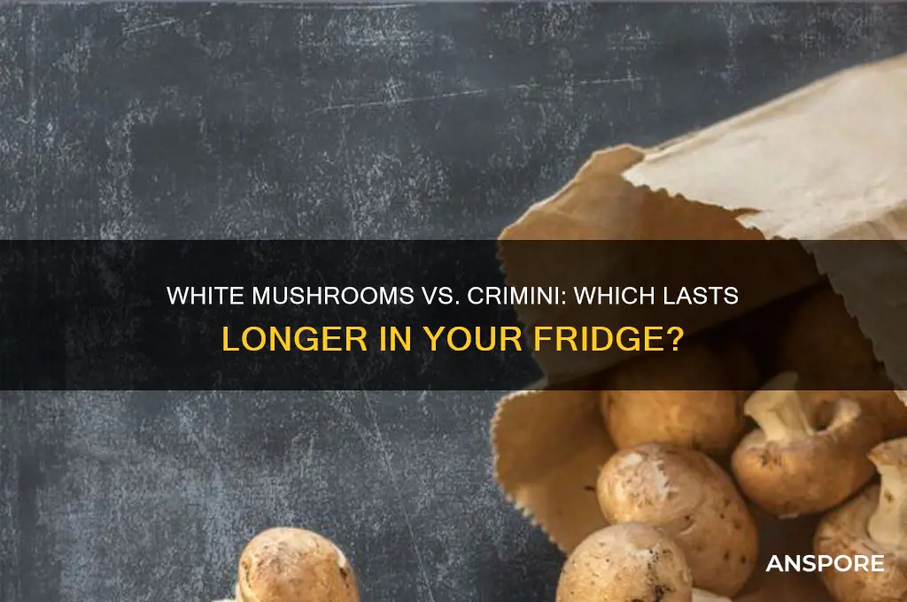 do white mushrooms last longer than crimini