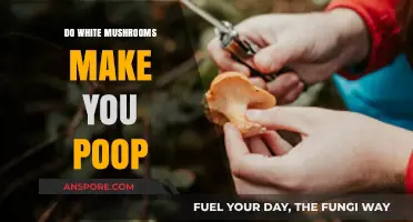 Do White Mushrooms Make You Poop? Exploring Digestive Effects