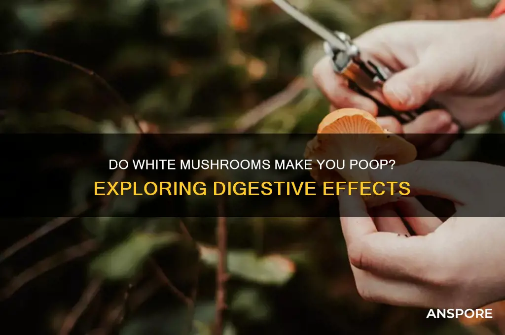 do white mushrooms make you poop
