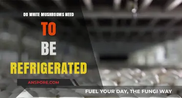 White Mushrooms: Refrigeration or Room Temperature Storage?