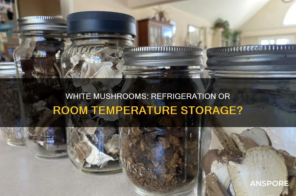 do white mushrooms need to be refrigerated