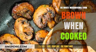 Why White Mushrooms Turn Brown When Cooked: A Culinary Explanation