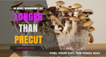 Whole vs. Precut Mushrooms: Which Lasts Longer in Storage?