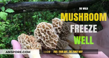 Freezing Wild Mushrooms: A Good Idea?