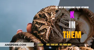 Mushrooms: Nature's Vitamin K Powerhouse