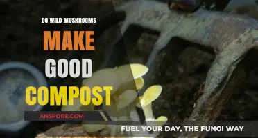 Can Wild Mushrooms Boost Your Compost? A Fungal Breakdown