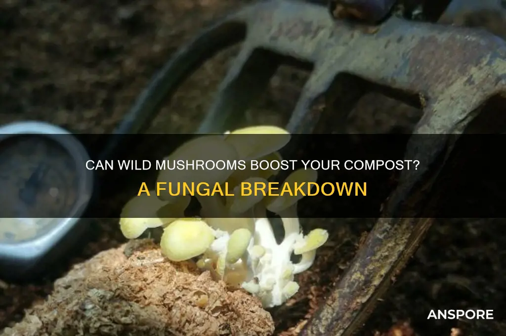 do wild mushrooms make good compost