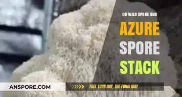 Wild Spore vs. Azure Spore: Do Their Effects Stack in Combat?