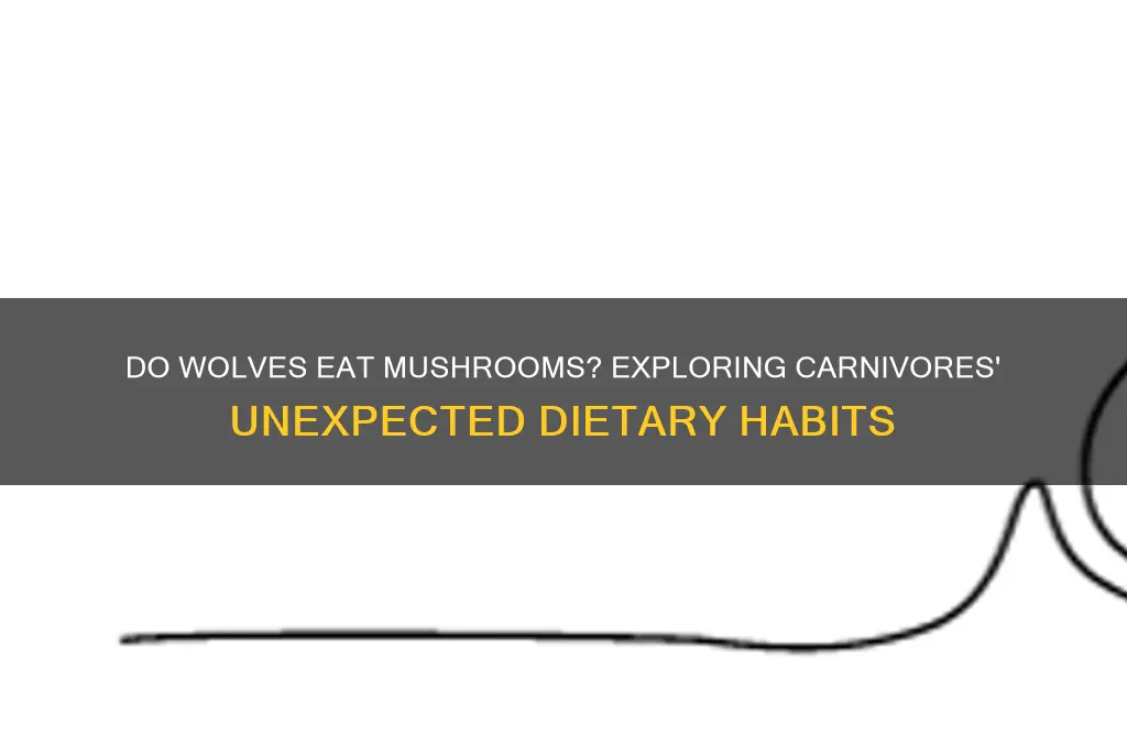 do wolves eat mushrooms