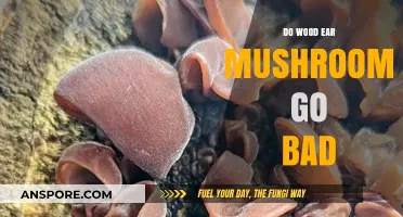 Do Wood Ear Mushrooms Go Bad? Shelf Life and Storage Tips