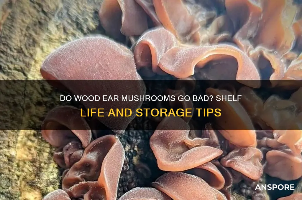 do wood ear mushrooms go bad