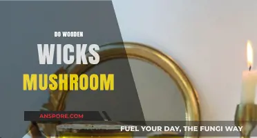 Wooden Wicks: Do They Mushroom?