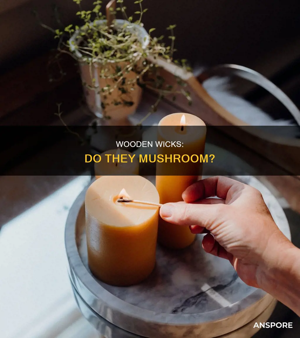 do wooden wicks mushroom