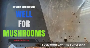 Worm Castings: Supercharging Your Mushroom Growth