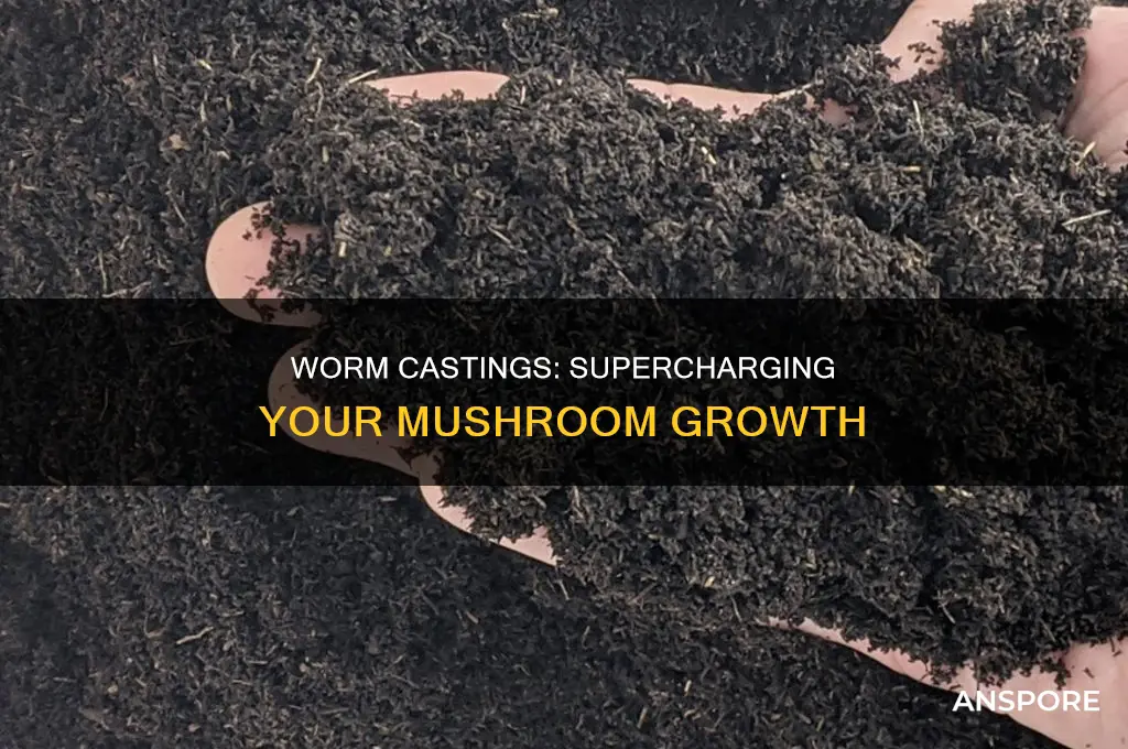 do worm castings work well for mushrooms