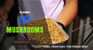 Do Worms Eat Mushrooms? Exploring Their Diet and Decomposition Role