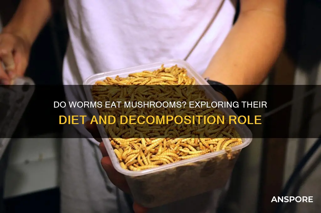 do worms eat mushrooms