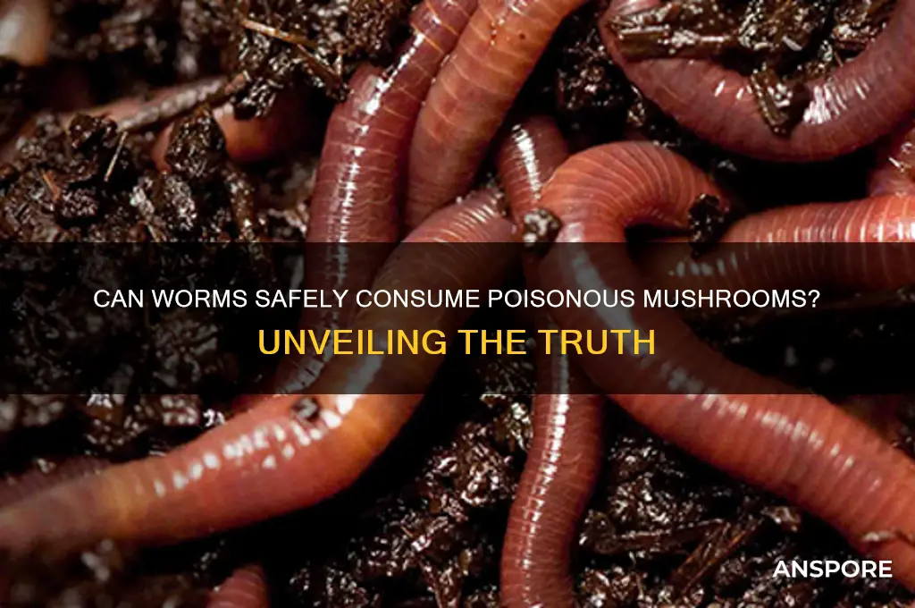 do worms eat poisonous mushrooms