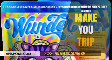 Wunder Mushroom Gummies: Do High Potency Varieties Induce Tripping?