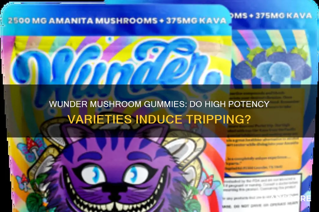 do wunder mushroom high potency gummies make you trip
