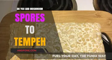 The Magic of Mushroom Spores in Tempeh Making