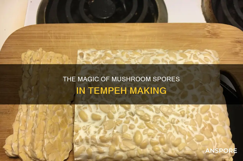 do you add mushroom spores to tempeh