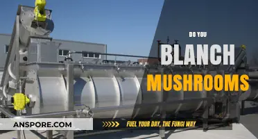 Blanching Mushrooms: The Ultimate Guide to Doing It Right