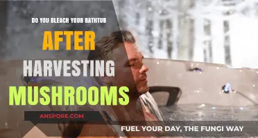 How to Properly Clean Your Bathtub Post-Mushroom Harvesting