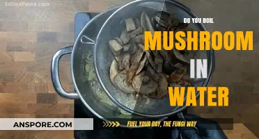 The Ultimate Way to Boil Mushrooms