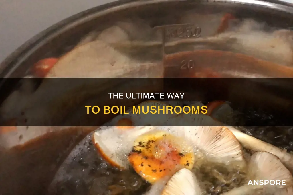 do you boil mushrooms in water