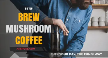 Mushroom Coffee: Brew a Magical Cup