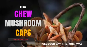 Chewing Mushroom Caps: What's the Deal?