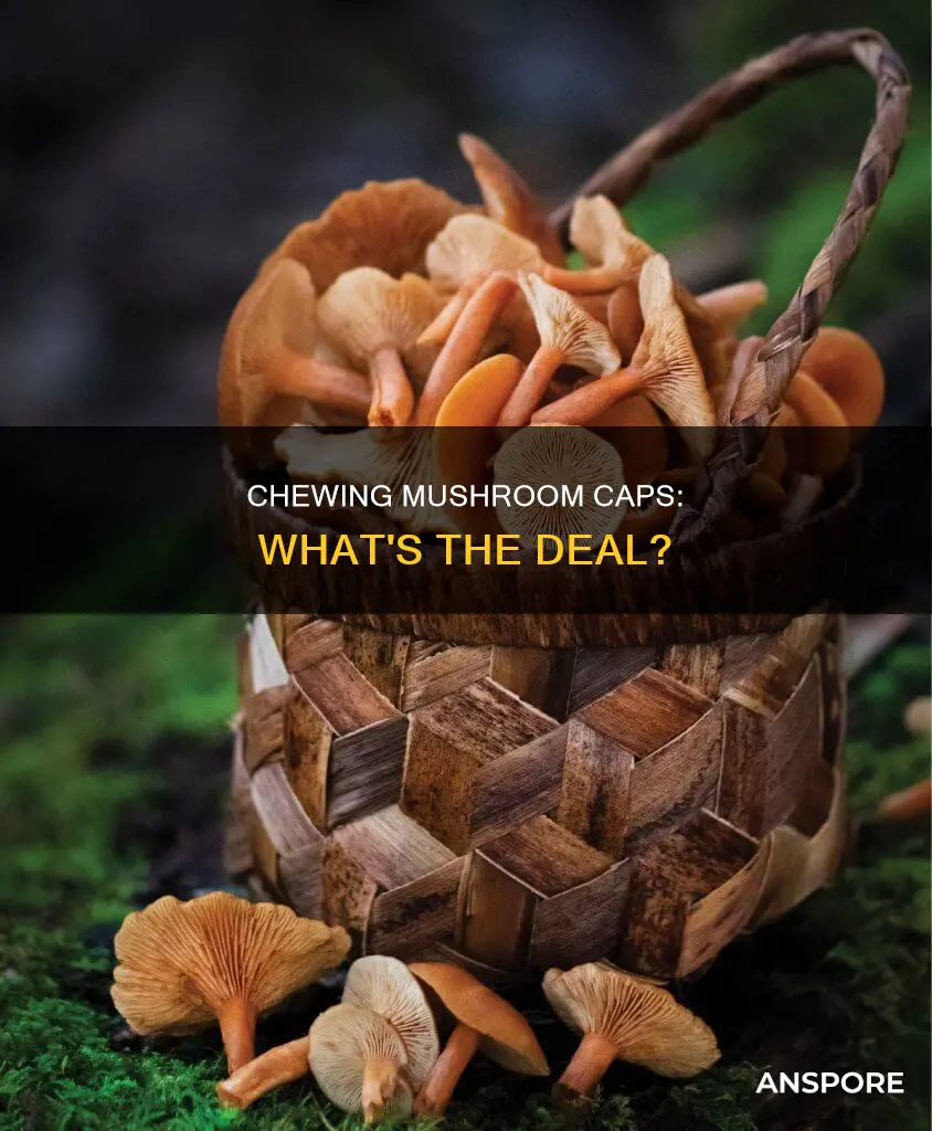 do you chew mushroom caps