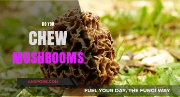 Chewing Mushrooms: Is It Worth It?