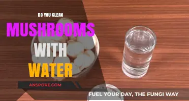 Cleaning Mushrooms: To Wash or Not?
