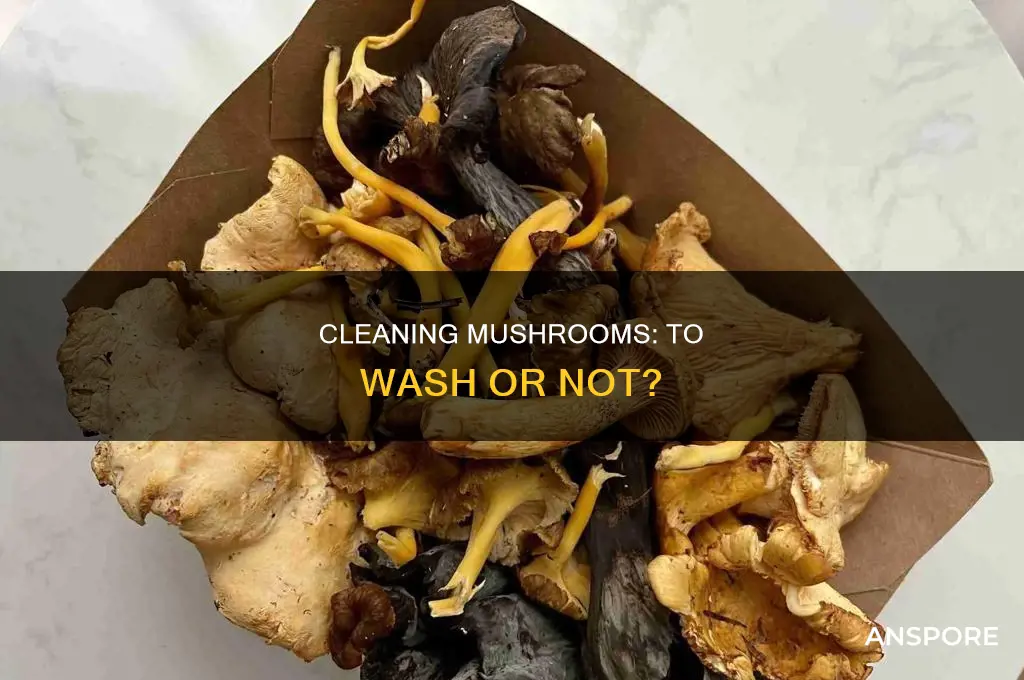 do you clean mushrooms with water