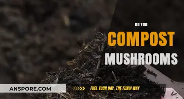 Composting Mushrooms: What You Need to Know