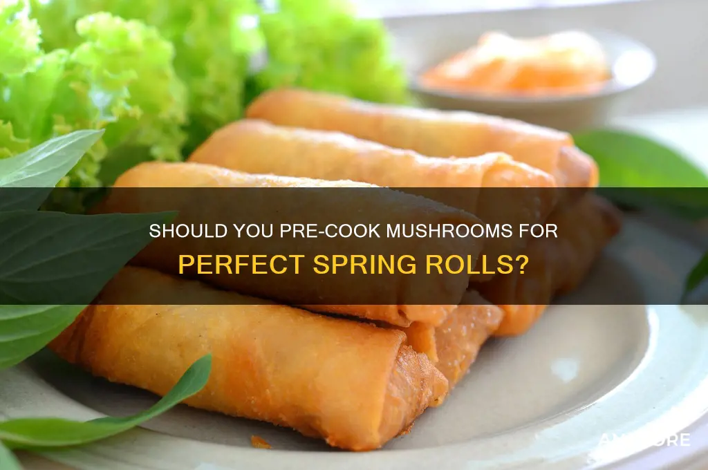do you cook mushrooms before putting in spring rolls