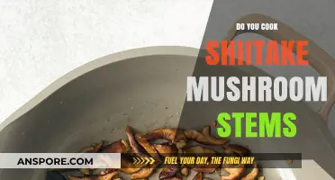 Can You Cook Shiitake Mushroom Stems? A Tasty Guide