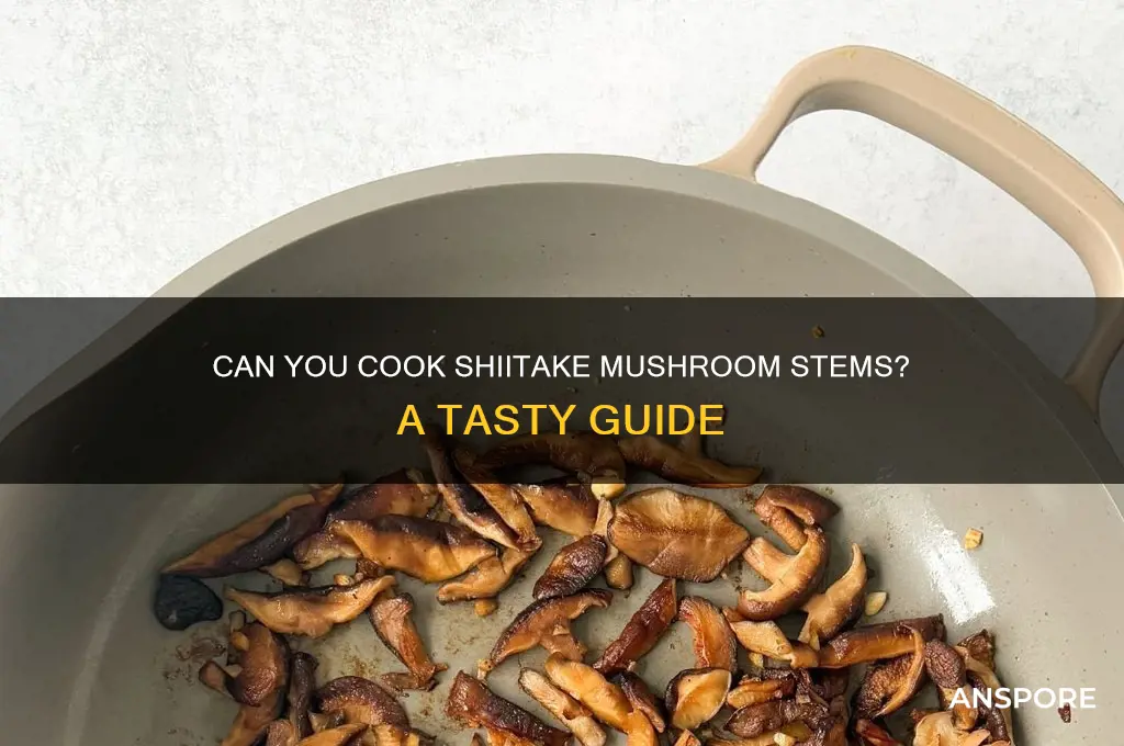 do you cook shiitake mushroom stems