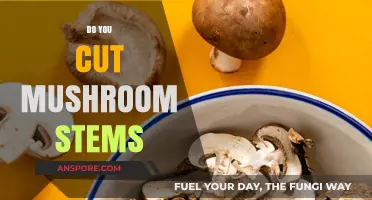 The Secret to Cutting Mushroom Stems