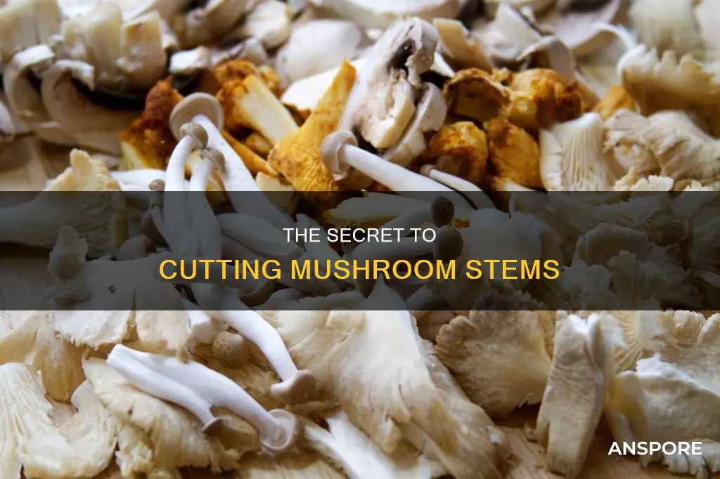 do you cut mushroom stems